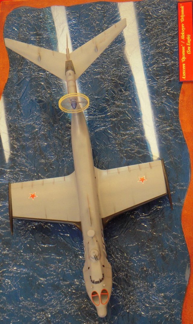 The most numerous and successful Soviet ekranoplan was the 125 ton A-90 Sea Eagle, seen above, and used by the Soviet Navy from 1979 to 1992.  