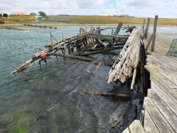 Maurice also highlighted the 282 ton barque VICAR OF BRAY, which was built at Whitehaven in 1841 and took miners to the 1849 Californian gold rush. She now rots at Goose Green where she has been since 1925, forming a perch for the native Night Herons.